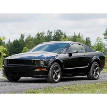 Ford Mustang 5 2004-2014 - pattern on the windshield