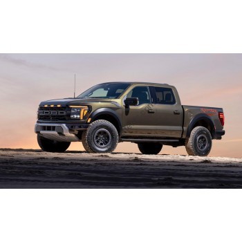 Ford F-150 Raptor (2024) full body - pattern for the body
