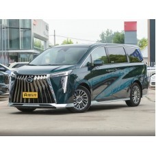 GAC Trumpchi M8 Master 2024 - the pattern of the interior