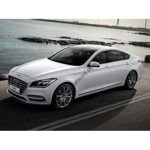 Genesis G80 1 generation, DH (03.2017 - 2020) - pattern on the windshield