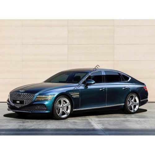 Genesis G80 2 generation (03.2020 - 2021) - pattern on the windshield