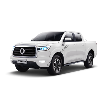 GWM Poer 2023 full body - pattern for the body GWM Poer 2023 full body - pattern for the body