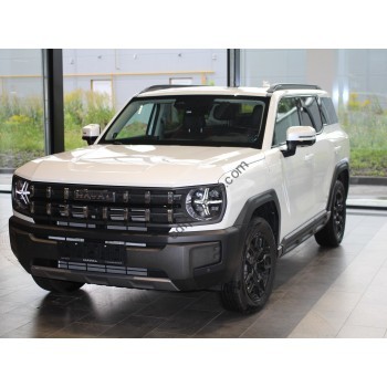 Haval H3 5-door, 1 generation (04.2024 - present) - Pattern for rear windows