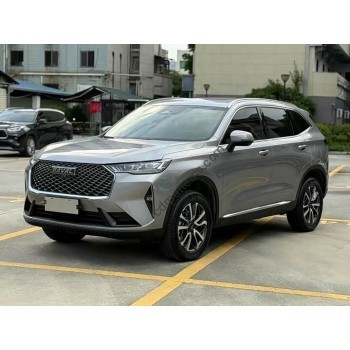 Haval H6 2024 full body - pattern for the body