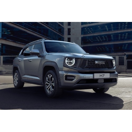 Haval H7 2024 - the pattern of the interior