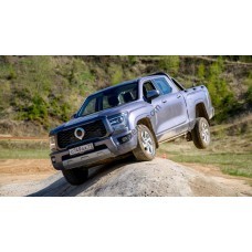 Haval Poer King Kong 2023 - full body - pattern for the body