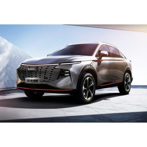 Haval Shenshou 2022 - the pattern of the interior