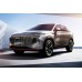 Haval Shenshou 2022 - the pattern of the interior