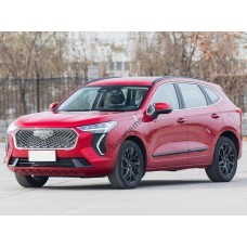 Haval Jolion (2021) - Multimedia screen template