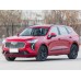 Haval Jolion (2021) - Multimedia screen template