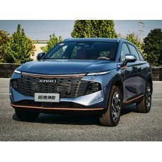 Haval Shenshou 2022 full body - pattern for the body