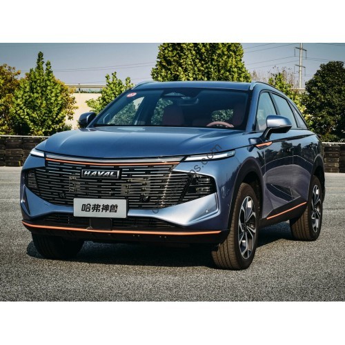 Haval Shenshou 2022 full body - pattern for the body