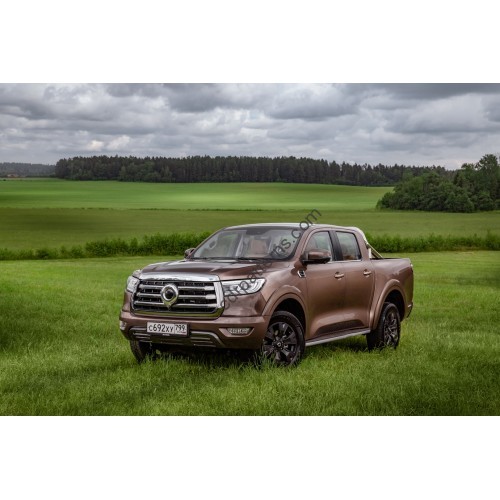 Haval Poer Base 2021 full body - pattern for the body