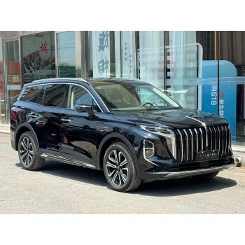 Hongqi HS7 2023 - pattern for the body