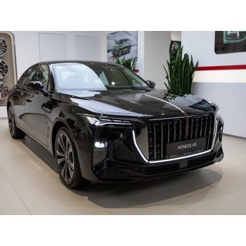 Hongqi H9 2024 - the pattern of the interior