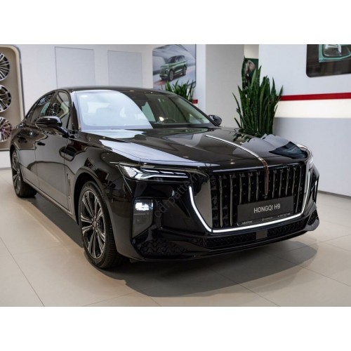 Hongqi H9 2024 - the pattern of the interior