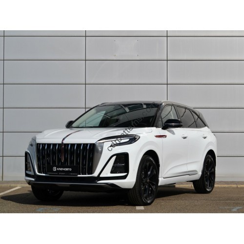 Hongqi HS3 2024 - the pattern of the interior