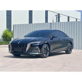 Hongqi H6 2023 - the pattern of the interior