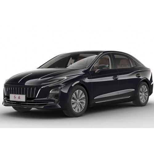 Hongqi E-QM5 Body 2021 full body - pattern for the body