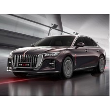 Hongqi H5 2023 - the pattern of the interior