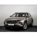Hyundai Tucson 2022 grille - pattern for the body