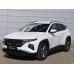 Hyundai Tucson 2024 front and trim - pattern for the body