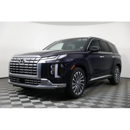 Hyundai Palisade Calligraphy 2023 - the pattern of the interior
