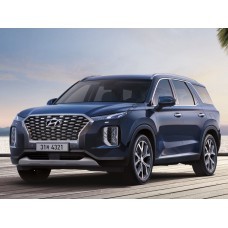 Hyundai Palisade Calligraphy (2020) - pattern for the body