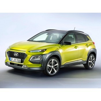 Hyundai Kona - 1 generation, OS (06.2017 - 2024) - pattern on the windshield