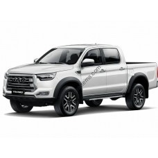 JAC T8 Pro Pickup, 1 generation (09.2020 - present) Front side glass pattern