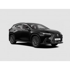 Lexus NX (2021) - Multimedia screen template