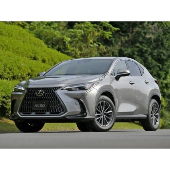 Lexus NX (2021) - the pattern of the interior