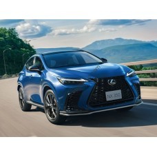 Lexus NX 350 2023 F sport full body - pattern for the body