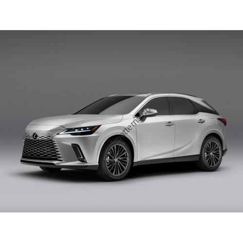 Lexus RX (2022) - Multimedia screen template