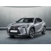 Lexus UX 2019 - Multimedia screen template