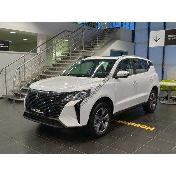 Livan X6 Pro 5-door, 1 generation (09.2023 - present) Front side glass pattern