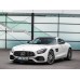 Mercedes-Benz AMG GT coupe 2020 - Multimedia screen template