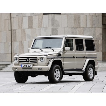 Mercedes-Benz W 463 G55 AMG 2010 - pattern for car mats
