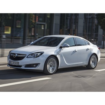 Opel Insignia 1 generation 2008-2017 - pattern on the windshield