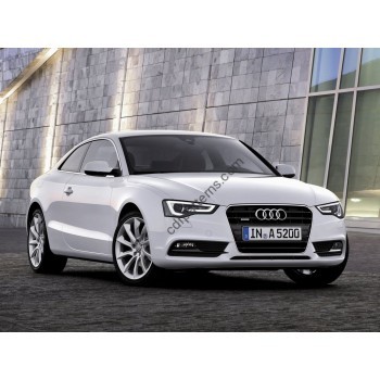 Audi A5 4 doors 1st generation, 8T (2007 - 2016) Front side glass pattern