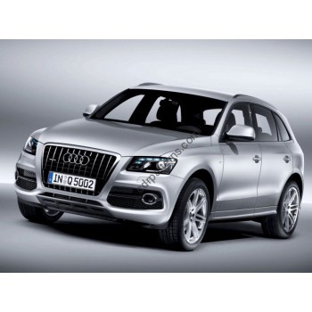 Audi Q5 1 generation, 8R 2008-2016 Front side glass pattern