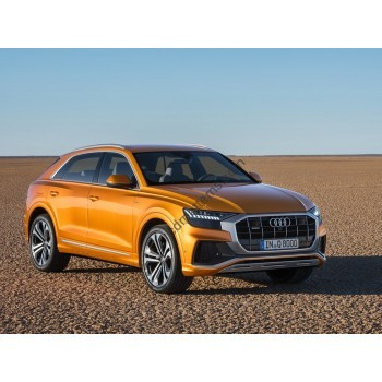 Audi Q8 2018, suv, 1st generation (06.2018 - present) Front side glass pattern