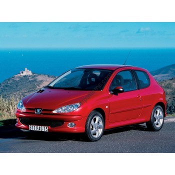 Peugeot 206 Coupe 3d 1 generation 1998-2009 Front side glass pattern