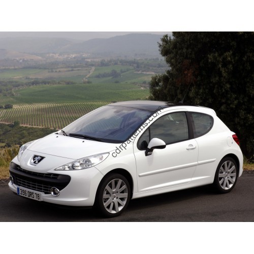 Peugeot 207 hetchback 3 d, 1 generation (03.2006 - 2011) - Pattern for rear windows