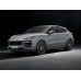 Porsche Cayenne Coupe 2024 - Multimedia screen template