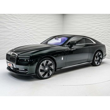 Rolls-Royce Spectre 2024 grille and front fender chrome - pattern for the body
