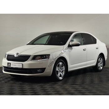 Skoda Octavia 2014 bumper and headlights - pattern for the body