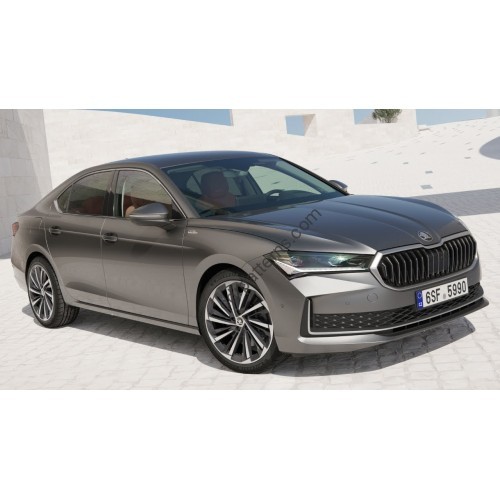 Skoda Superb ASIA 2024 - the pattern of the interior