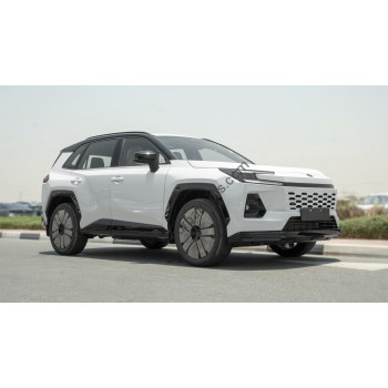 Toyota RAV4 SE and XSE 2026, full body - pattern for the body