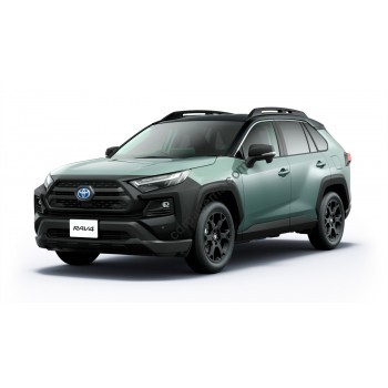 Toyota RAV4 2024 Adventure - full body - pattern for the body